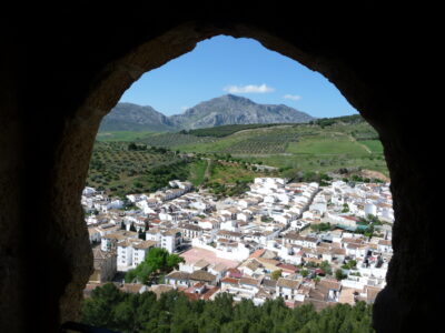Услуги на месте в Испании для покупателей недвижимости